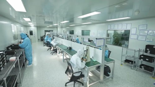 科技強(qiáng)國(guó) 創(chuàng)新在吉林發(fā)力，重點(diǎn)產(chǎn)業(yè)科技創(chuàng)新助推創(chuàng)新型省份建設(shè)